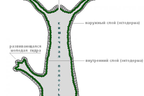 Кракен макет даркнет только через тор