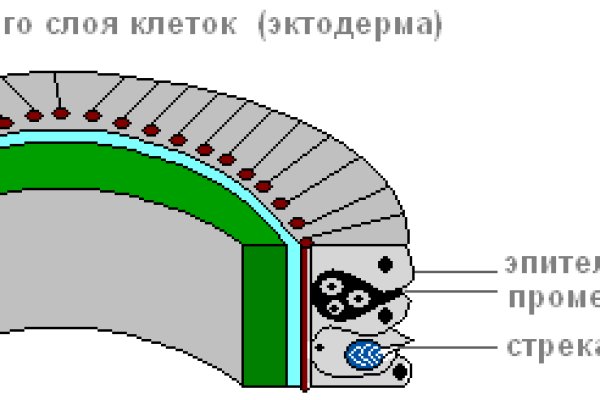 Kraken ссылка kraken torion